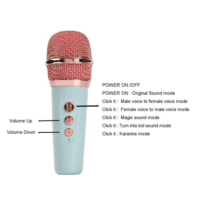 Portable Bluetooth Speaker with Microphone Set,Retro Bluetooth Speaker with Home Karaoke Machine,Portable Handheld Karaoke Mics Speaker Machine for Kids and Adults Home Party Birthday (Pink) (Green) green