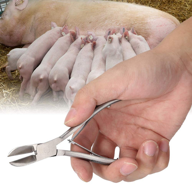 Jadpes Pig Piglet Teeth Clipper Tweezers, Stainless Steel Tooth Cutter Scissors for Dog Piglet Elbow Clipper Tweezers with Pig Catcher for Paparazzi Elbow Shrapnel and Pi