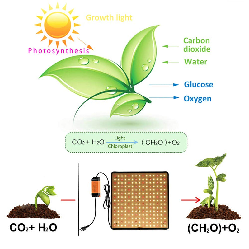 OROMYO Plant Lamp LED Full Spectrum 225 LEDs 1000 W Plant Lamp Cultivation with 4 Hooks Plant Light Hanging LED Grow Light for Greenhouse Plants, Vegetables, Flowers (White + Red) White + Red