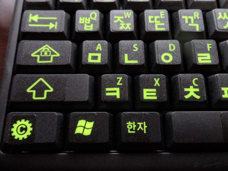 Korean Keyboard Stickers with Bold Bright Inlays. Large Symbols Will Not Wear, Smudge or Fade. Korean Conversion for All Laptop and Desktop Keyboards Also Free USB LED Light (White).