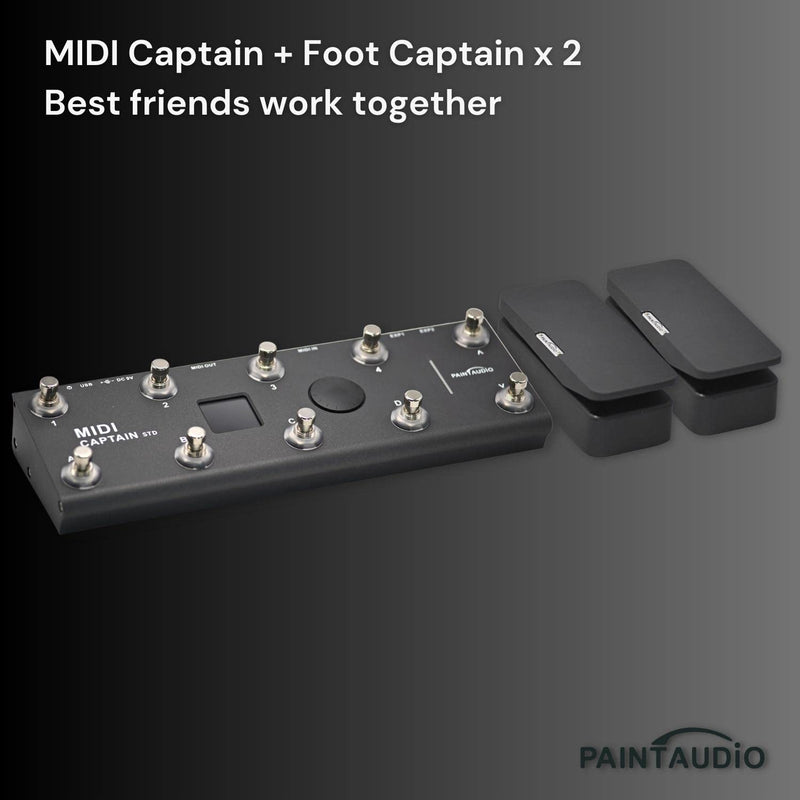 Paint Audio Foot Captain Dual Outputs Expression Pedal Multi-effects Compatible for Tip/Ring Connection (Foot Captain)