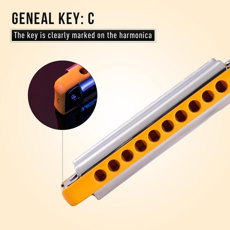 [AUSTRALIA] - Harmonica JDR Blues key of C 10 Holes 20 Tones Harps Armonica for Adults Kids Professional Beginners Mini Mouth Organ with Case Chicago 