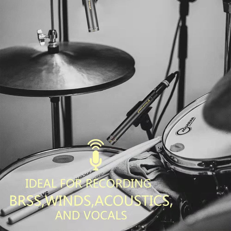 happymusic CM2 Professional Pencil Condenser Brass Microphone Kit，Instrument Mic,Omni Cardioid and Super Cardioid Capsules for Ideal for Drums, Acoustic Guitar, Piano, Woodwind and Percussion