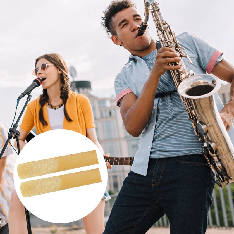 10-Pack Clarinet Reeds, Strength 3, Traditional Bb Reeds with Individual Portable Case 10Pack-Strength 3.0