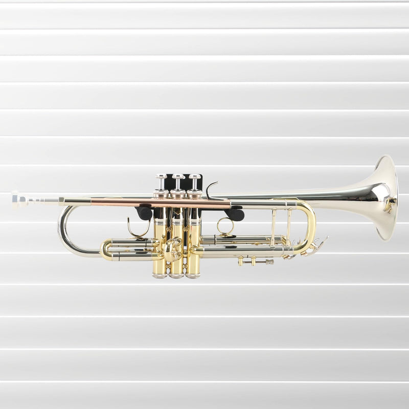 EASTROCK Trumpet Stand,Wall Mount Trumpet,Holder Wall Mounted Instrument 2Pcs Medium