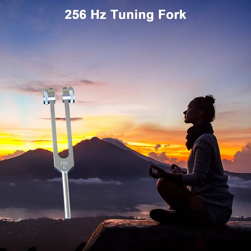 QIYUN 256 Hz Tuning Fork, 256 Cps Tuning Forks with Fixed Weights, Clinical Grade Nerve/Sensory with Silicone Hammer & Cleaning Cloth