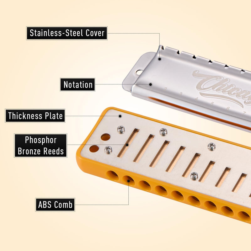 [AUSTRALIA] - Harmonica JDR Blues key of C 10 Holes 20 Tones Harps Armonica for Adults Kids Professional Beginners Mini Mouth Organ with Case Chicago 
