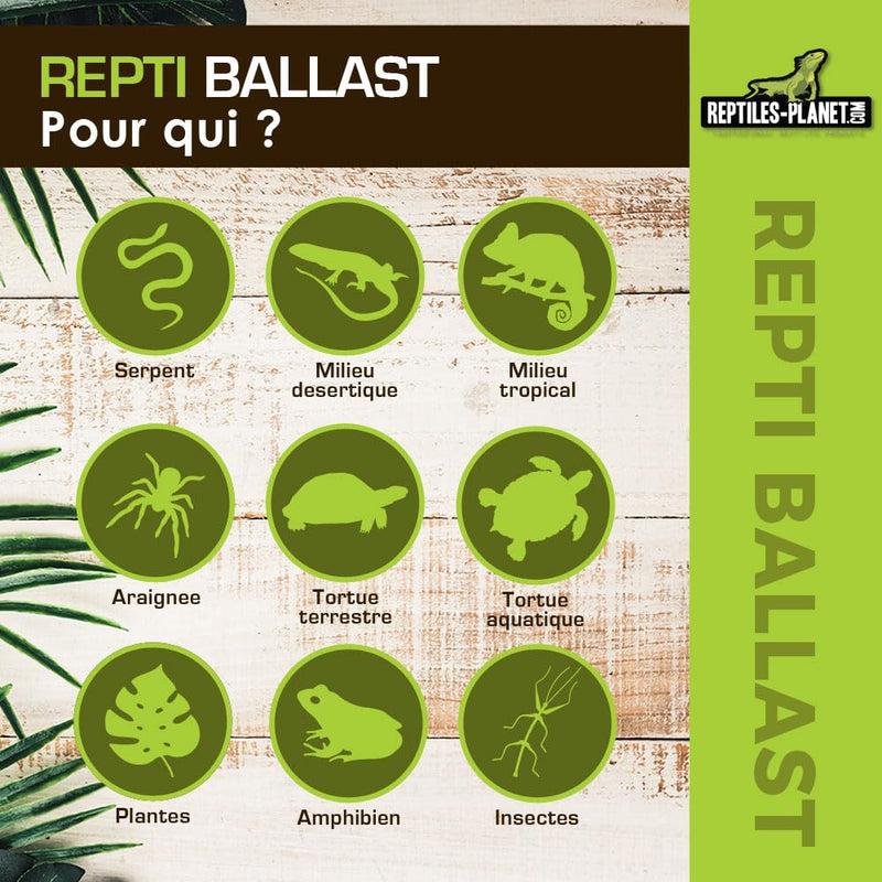 Reptile Planet - Repti Ballast for Fluorescent Tube T8 from 15 to 40 W