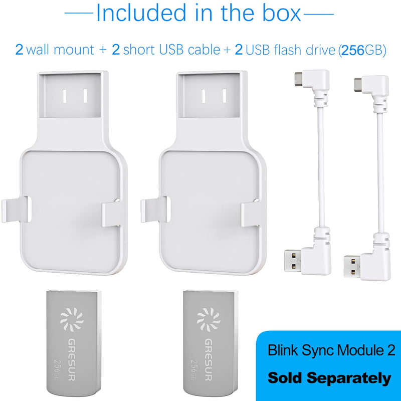 256GB Blink USB Flash Drive for Local Video Storage with The Blink Sync Module 2 Mount (Blink Add-On Sync Module 2 is NOT Included),2Pack 256 GB 2Pack + 2 Pack