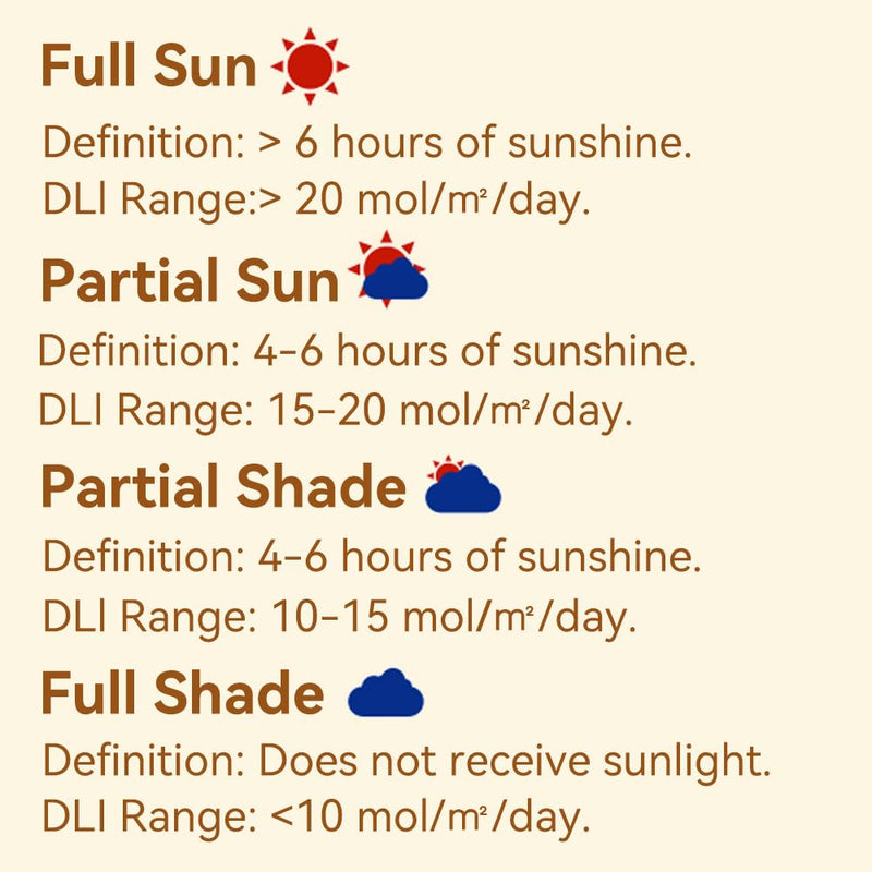[AUSTRALIA] - EVO-20 DLI Light Meter – Smart Sunlight Classifier for Garden & Landscape Use | Identifies Full Sun, Partial Sun, Partial Shade & Shade Based on Daily Light Integral 