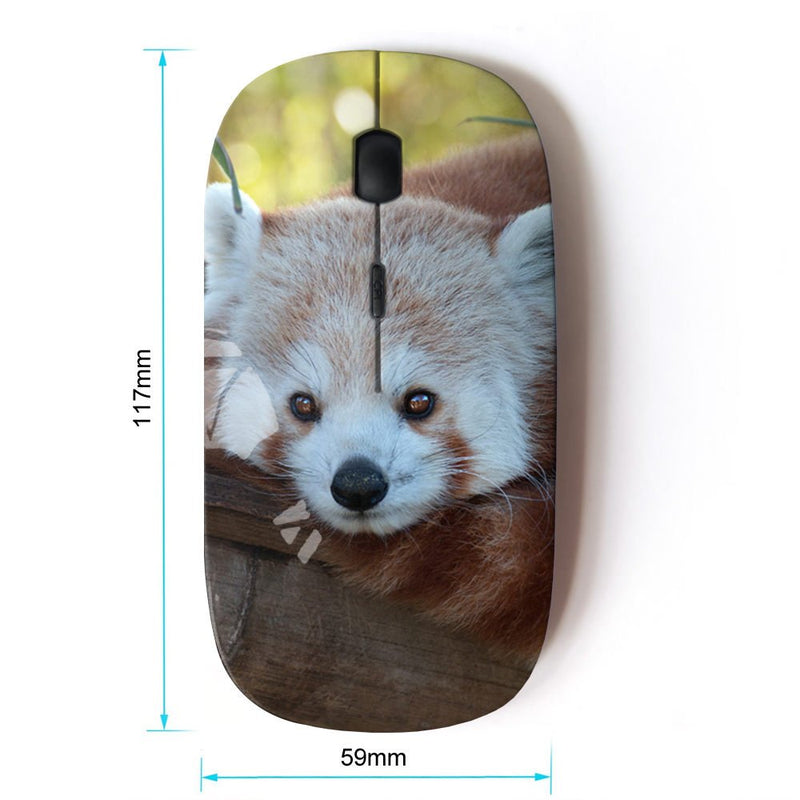 KOOLmouse [ Optical 2.4G Wireless Mouse ] [ Little Red Panda Bear Face Tree Tail Animal ]
