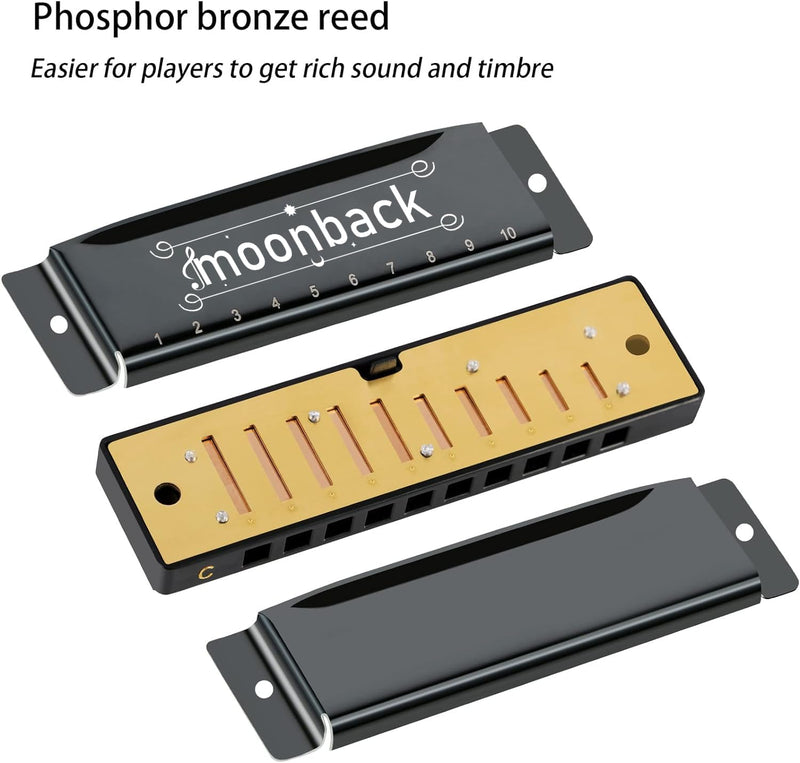 Harmonica Holder Set - 10 Hole Diatonic Blues Harmonica in C Key, Adjustable Holder for Beginners to Professionals Slivers