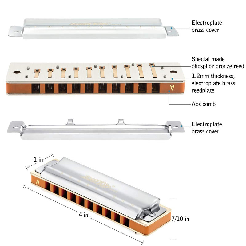 East top 10 Holes Professional Diatonic Blues Harmonica Key of A with Silver Cover, Probgrade Harmonicas For Adults, Professional Player and Students