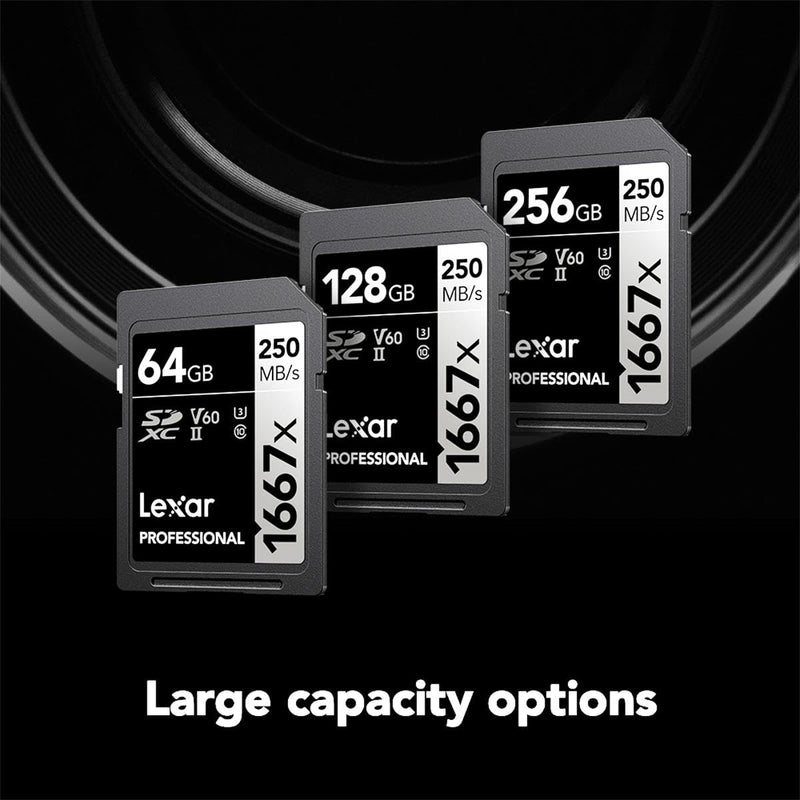 Lexar 256GB Professional 1667x SDXC Memory Card, UHS-II, C10, U3, V60, Full-HD & 4K Video, Up To 250MB/s Read, for Professional Photographer, Videographer, Enthusiast (LSD256CBNA1667) Single