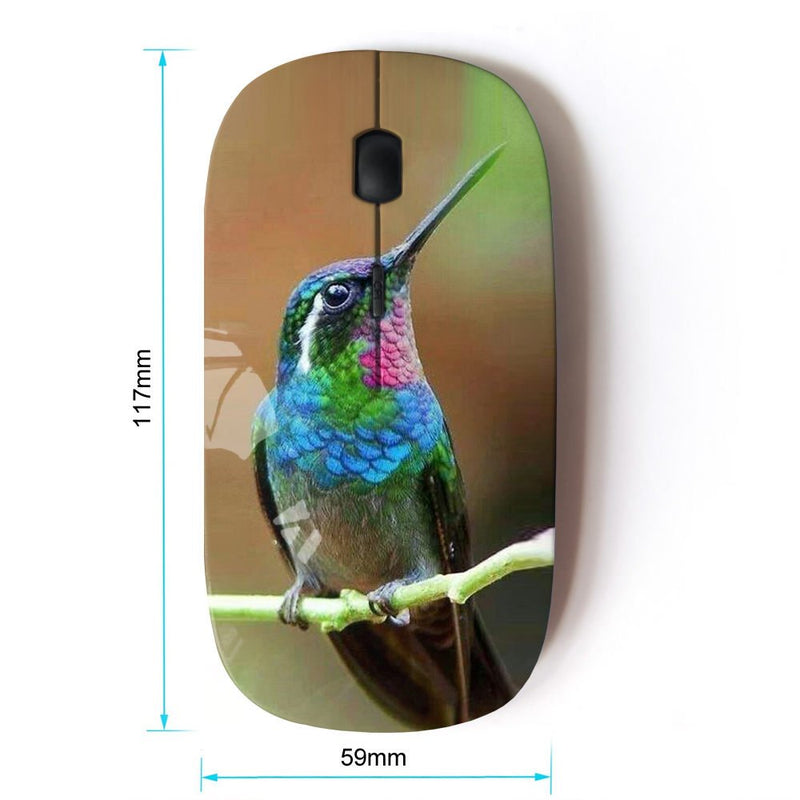 KawaiiMouse [ Optical 2.4G Wireless Mouse ] Hummingbird Tiny Cute Tropical Exotic