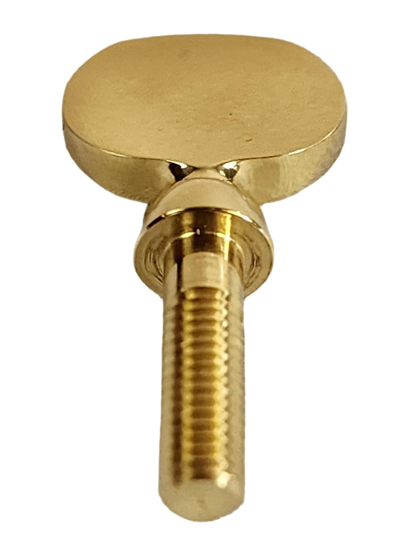 Saxophone Neck Receiver Tightening Screw for Yamaha Instruments - Gold Lacquer (N1541691)