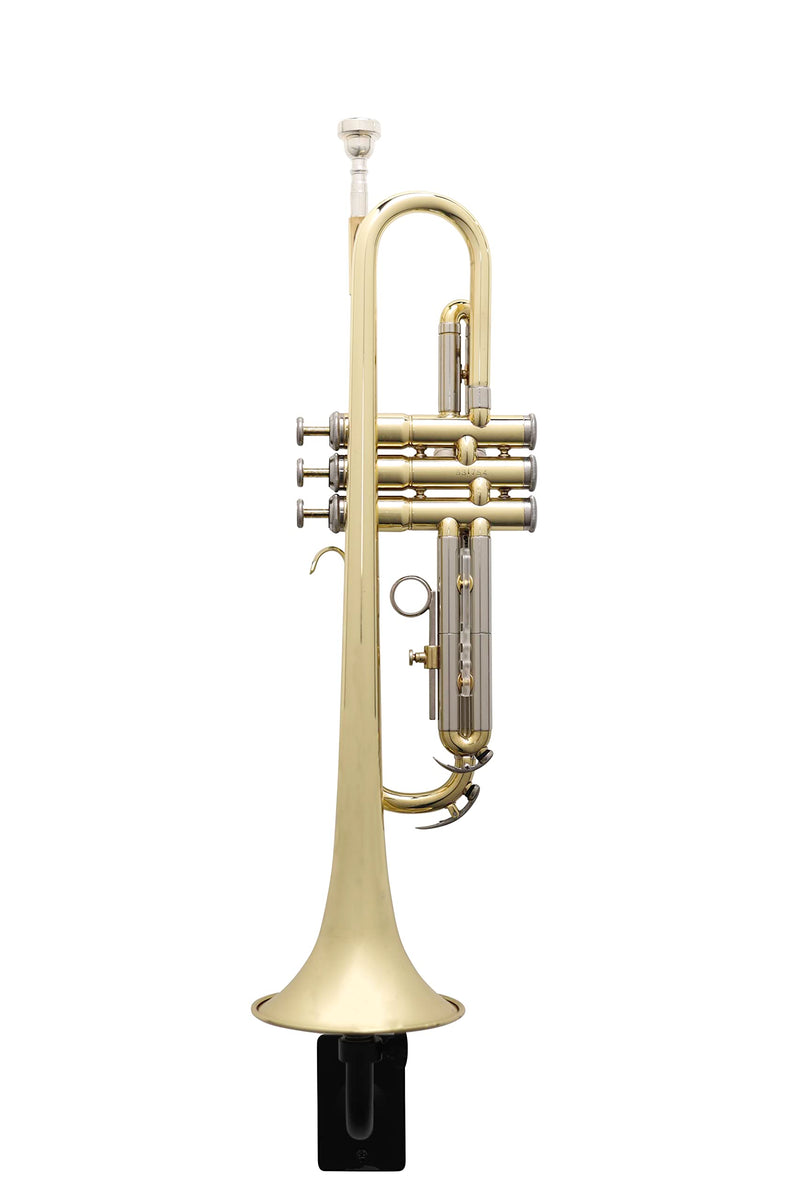 Gator Frameworks Recital Series Wall Hanger for Standard Sized Trumpets; (GFW-TRUMPETHNGR-BLK) Trumpet