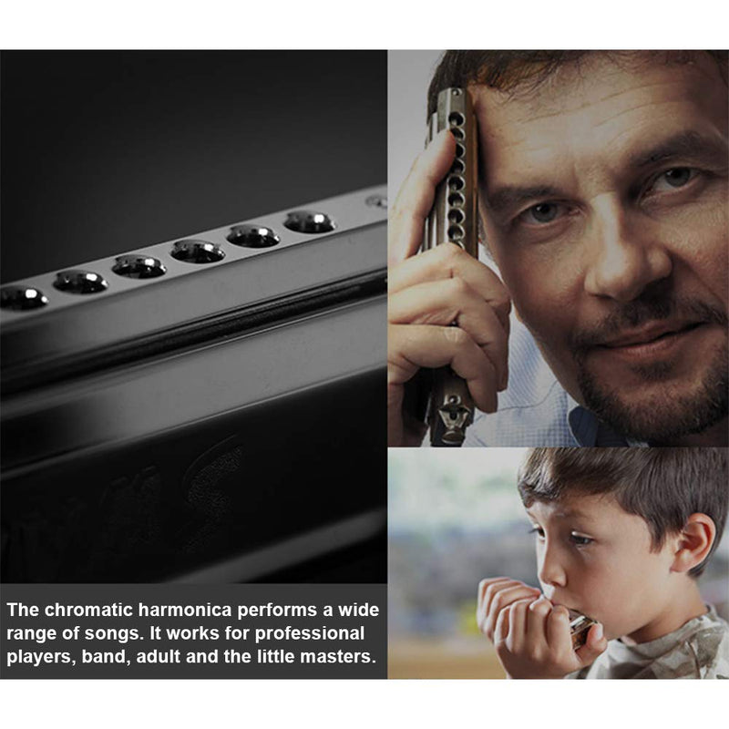 [AUSTRALIA] - Chromatic Harmonica Professional Grade 10 Hole 40 Tone Key of C Stainless Steel Heavy Duty with Case & Cleaning Cloth for Professional Player,Band,Beginner Stainless Steel Chromatic - Key C 