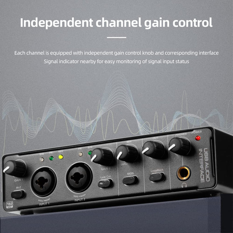 Depusheng RX2 usb audio interface computer recording sound card, home studio audio interface, can connect 48V condenser microphone, guitar recording