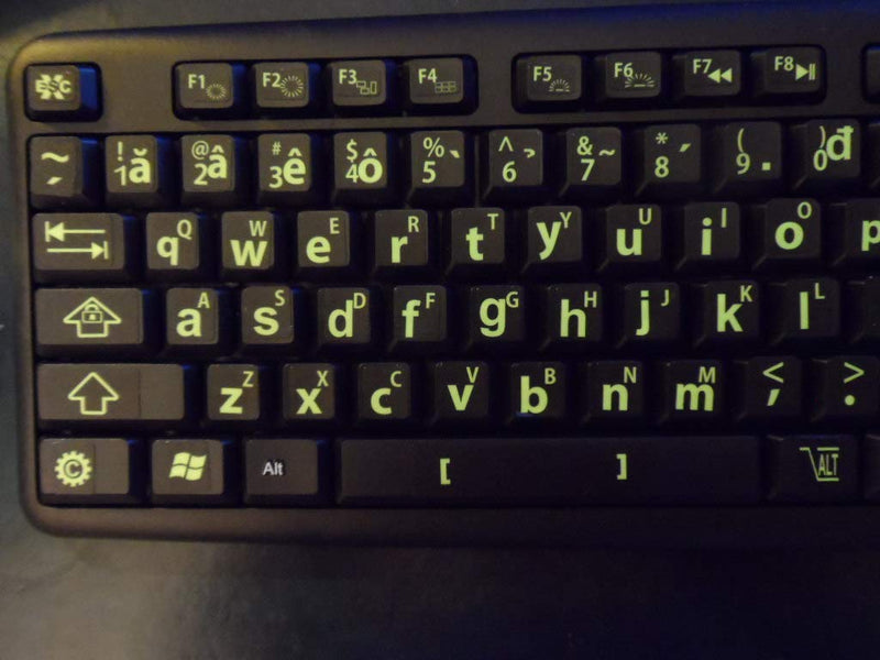 Vietnamese Keyboard Stickers with Fluorescent Inlays. Large Symbols Will Not Wear, Smudge or Fade. Vietnamese Conversion for All Laptop and Desktop Keyboards Also Free USB LED Light (White).