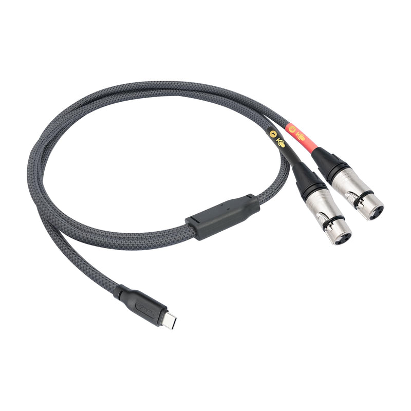 HUALUE 10Ft Dual XLR Female to USB C Stereo Microphone Cable,XLR Female Smartphone USB C Recording Cable，Dual Channel Stereo Input XLR to USB C for iPhone 15 ipad Dynamic Condenser Microphone