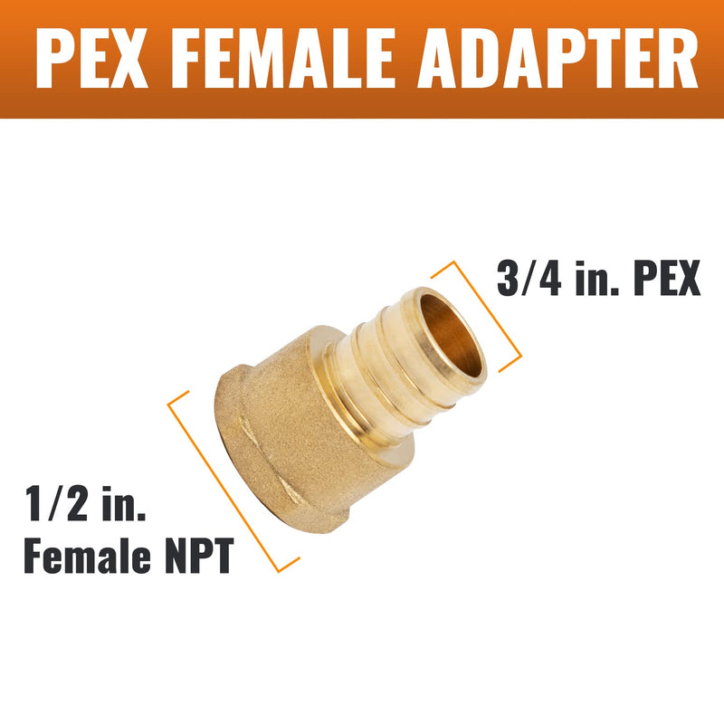 SUNGATOR 6-Pack PEX 3/4" x 1/2" NPT Female Threaded Adapter Crimp Fitting, No Lead Brass 3/4" x 1/2 ", 6 Pack