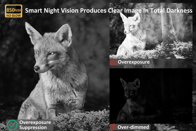 [AUSTRALIA] - Trail Camera, 48MP 1296p, Clear 100ft Night Vision Motion Activated, Hunting Game Camera with Fast 0.1s Trigger Speed, IP66 Waterproof P60 Camo B 