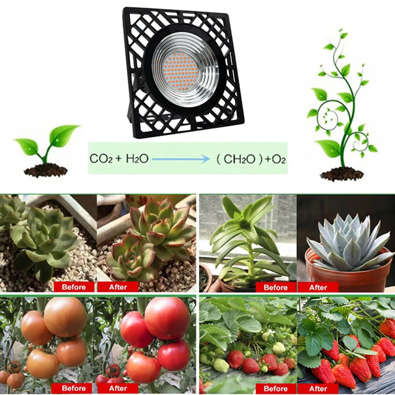 Plant Lamp LED Full Spectrum 72 LEDs 50 W Plant Light Hanging Grow Lamp IP66 100 LM/W