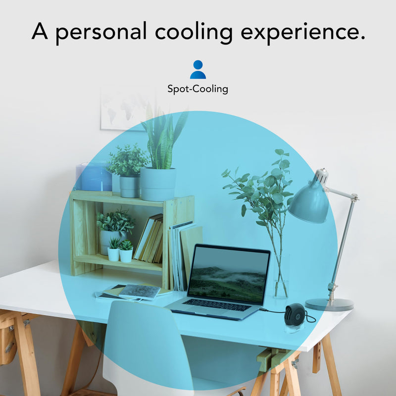 Vornado PEBL PAK Portable USB Desk Fan with Magnetic Base, Neoprene Travel Case Stand, 2 Speed Settings, Adjustable Airflow, Personal Cooling for Office, Home and Travel PEBL PAK - Case Included