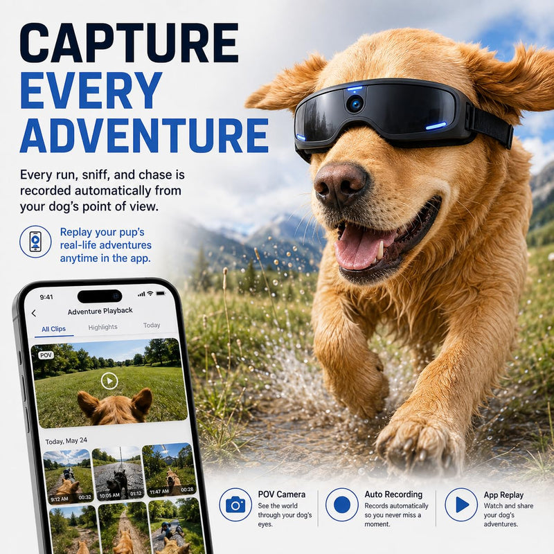 Smart Glasses for Pet, Bluetooth Audio Glasses with Open Ear Speakers, IP65 Waterproof, Lightweight Glasses, Travel Office Driving