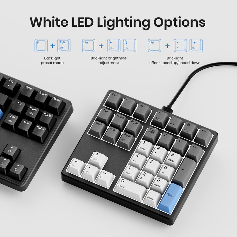 Mechanical Number Pad, 34 Key Wired Hot Swappable Keypad, Gateron Switches White Backlit Numpad,USB Numeric Keypad with PBT Keycaps for Laptop, Mac, PC Desktop(Red Switch) Red Switch