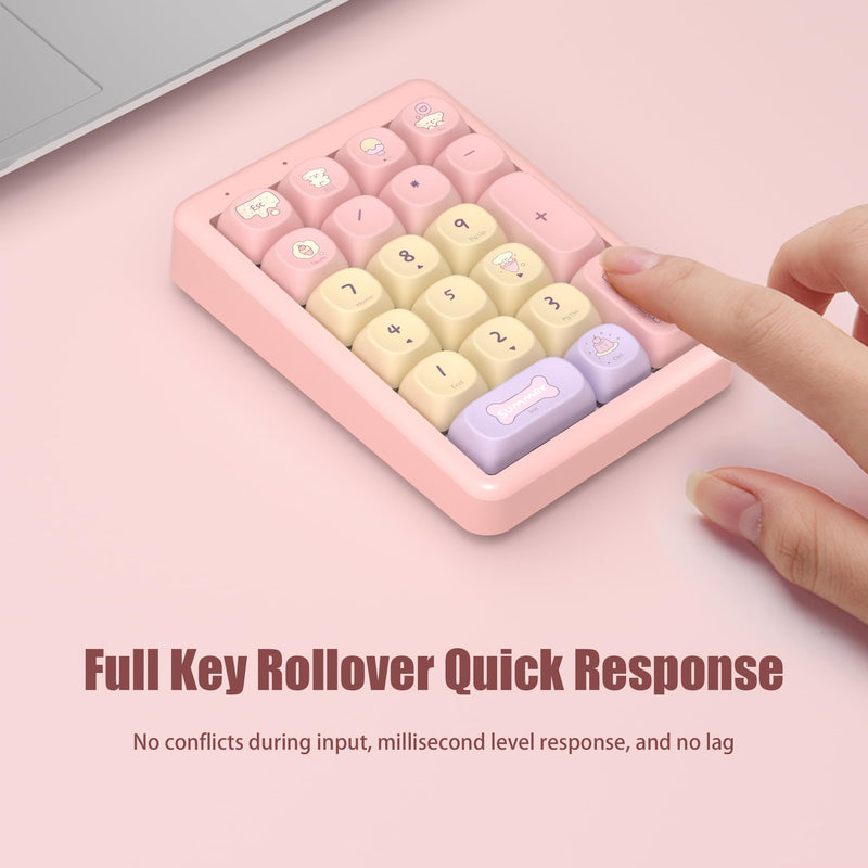 Wireless Number Pad Keyboard Mechanical Numpad Numeric Keypad for Laptop | Bluetooth Creamy 10 Key RGB Portable Cute Financial Accounting Rechargeable for Windows, PC, BT5.0/2.4G, Pink S21