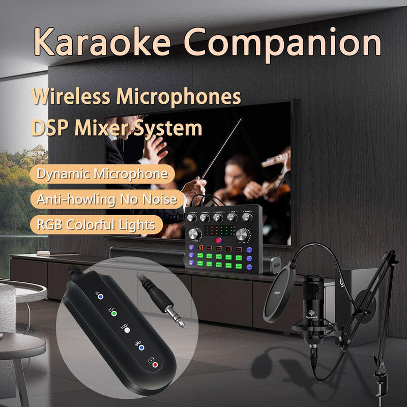 SETHDA Podcast Equipment, Karaoke Companion, Karaoke Mixer System, Recording Studio with Voice Changer - 3.5mm Audio Interface for Laptop Computer Vlog Living Broadcast Live Streaming YouTube TikTok