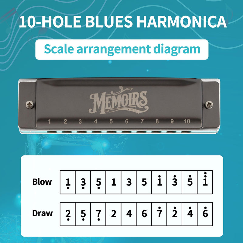 CONJURER Harmonica for Adults 10 Hole Diatonic Deluxe D Key Harmonica for Beginners Professionals Phosphor Bronze Reeds Brass Mouth Organ with Case GRAY BLUE-D
