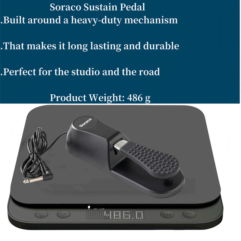 [AUSTRALIA] - Sustain Pedal Univerdal for Keyboard with Polarity Switch for Yamaha Casio Roland Korg Behringer Moog Piano Midi Electronic keyboards Style Piano Foot Pedal (Upgrade Version) Upgrade Version 