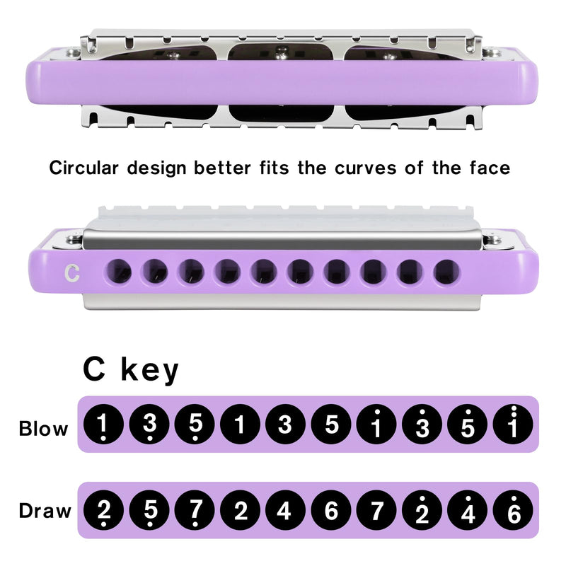 EASTROCK 10 Holes Blues Harmonica Key of C Mouth Organ with Case has Explosive Power For Adults Professionals Beginners CB05 Purple