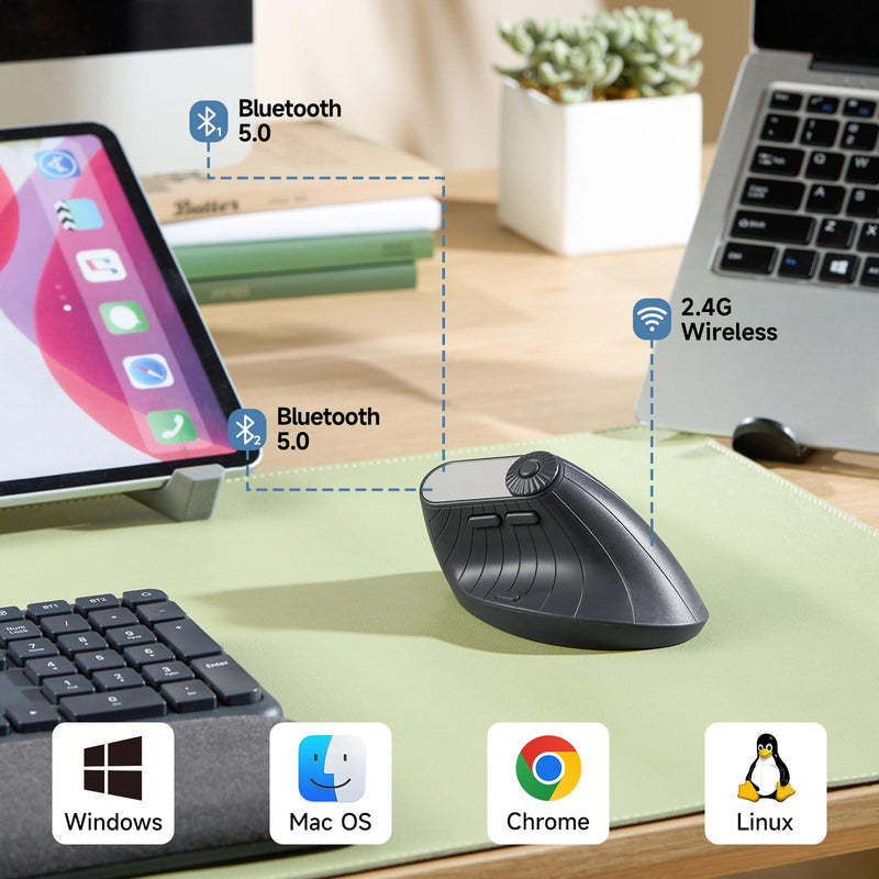 SANWA 2-DP Ergo Mouse with LED Screen + Wireless Trackball Mouse Set, Vertical Mouse Knob Control, Programmable Buttons, Silent Ergonomic Roller Ball Mice, Compatible with Mac, Windows, Laptop, Androi