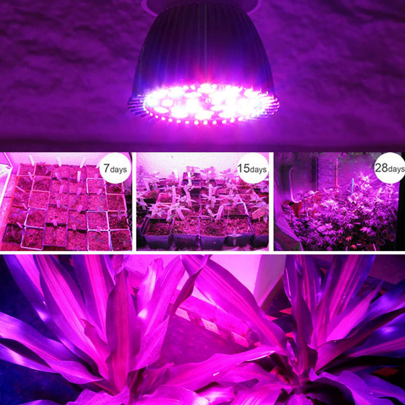 [AUSTRALIA] - Pflanzenlampe,Pflanzenlampe Vollspektrum Pflanzenlampe E27 LED Wachstumslicht Wachstumslampe für DIY-Hydrokultur-Pflanzenblume 