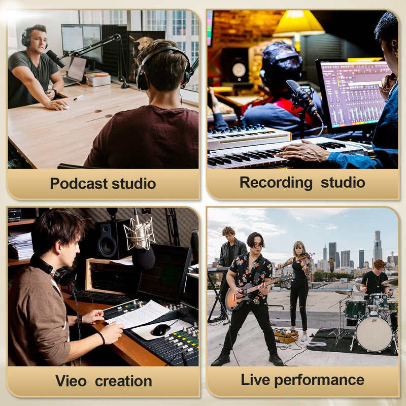 PX2 Dynamic Microphone Booster, Preamp Audio Booster for Studio or Home Recording, Livestream, Broadcast or Podcast - Single Channel for dynamic and ribbon microphones