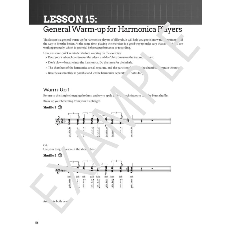 [AUSTRALIA] - Do-It-Yourself Harmonica: The Best Step-by-Step Guide to Start Playing - Book with Online Audio and Instructional Videos 