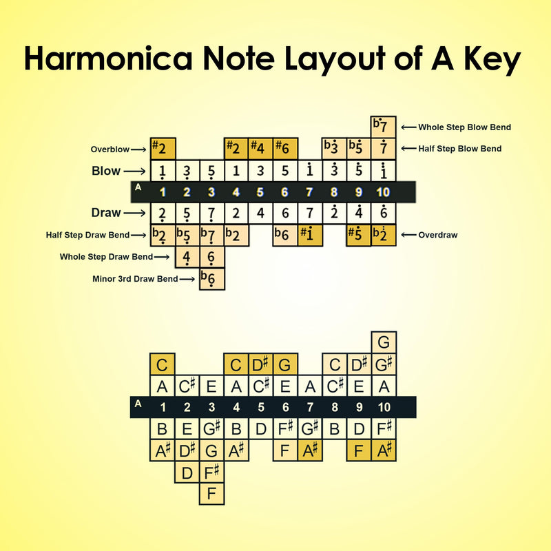 [AUSTRALIA] - Diatonic Harmonica of A Key,Blues Mouth Organ 10 Holes 20 Tones, Reed of Phosphor Bronze, ABS Combo, Easy-Clean Cover,10 Holes Blues Harp for Adult, Beginner Diatonic Black A Key 