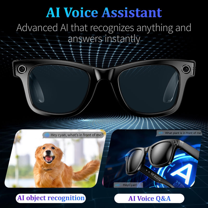 AI Smart Glasses with 8MP Camera, 1080P Video & HD Photo, Bluetooth Audio, AI Voice Assistant, Real-Time Translation, Object Recognition, Noise-Cancel Calls, Photochromic +2 Sunglasses Lenses Black