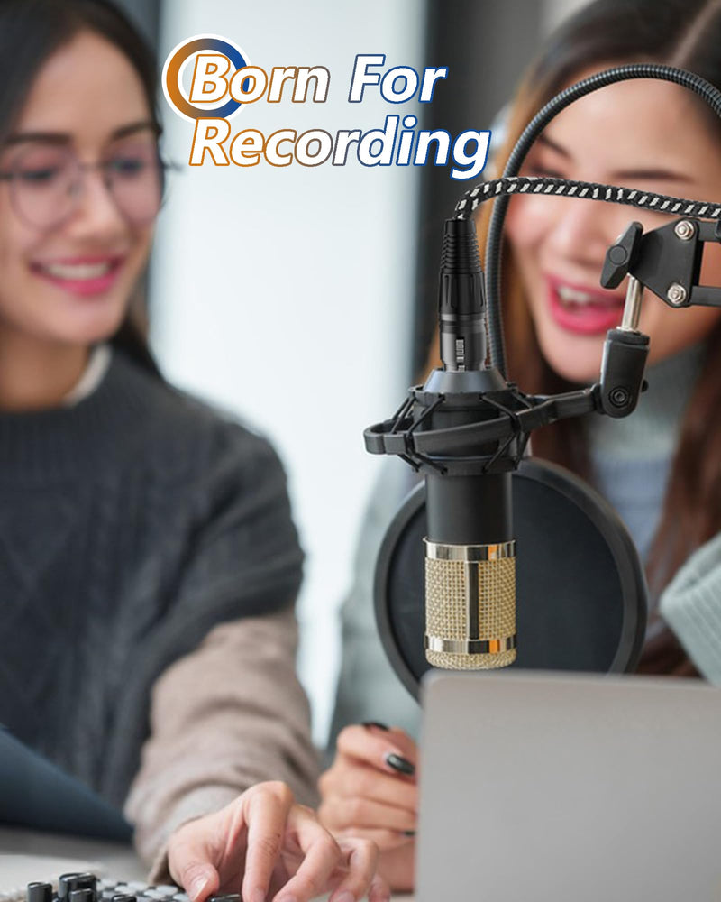 XLR Cables 15 Feet 2 Pack Fully Balanced Nylon Braided XLR Mic Cord Male to Female Microphone Cable 3 pin Oxygen-Free Copper (OFC) for Studio Recording Live 15ft Black and White 15 Feet (4.6m) Nylon Black-White