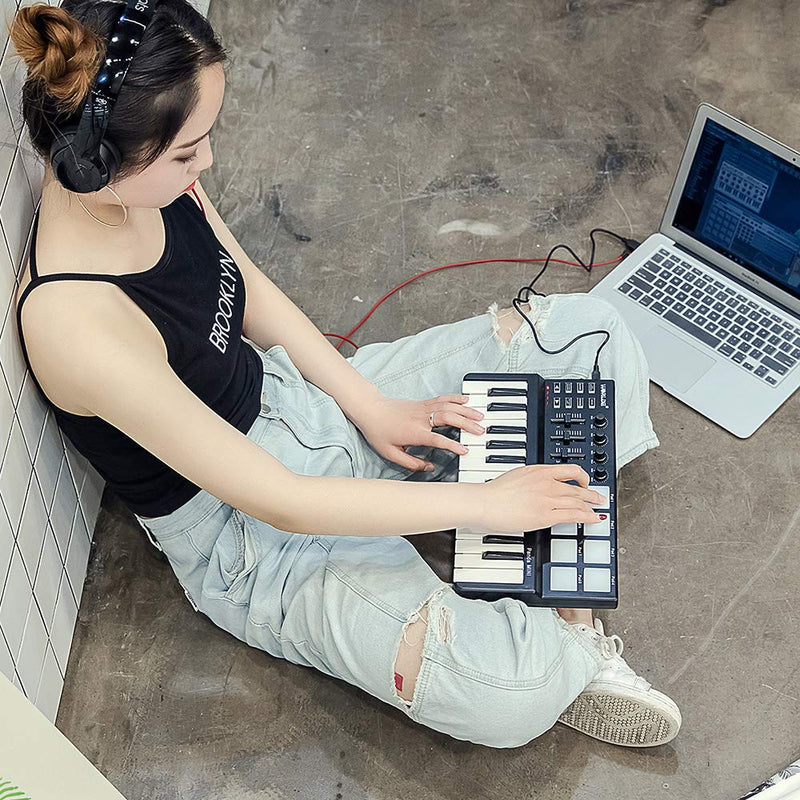 25-Key MIDI Keyboard Panda mini Portable Mini Drum Pad MIDI Controller, USB