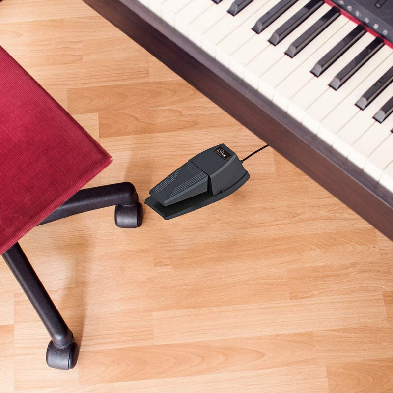 Sustain Pedal，Keyboard Piano Pedal with Polarity Switch for Electronic Keyboards，Digital Pianos， MIDI Keyboards and More