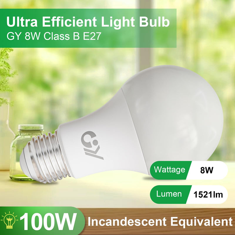 GY E27 LED Warm White Light Bulb, 8 W 1521 LM Energy Saving Bulb, Replaces 100 W Bulbs, Energy Efficiency Class B, A60 LED Warm White, Beam Angle 360° Bulb, Not Dimmable, Pack of 6 A60-8w3000k-6 6 Stück