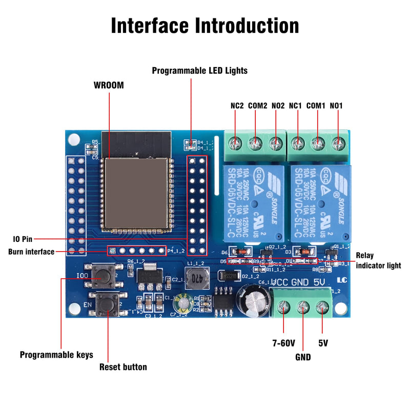 Binghe ESP Relay 2-Channel Module, ESP-32 Relay Development Board with 4 MB Flash Dual WiFi DC5-60V Power Supply for Secondary Development Learning (LC-Relay-ESP32-2R-D5)