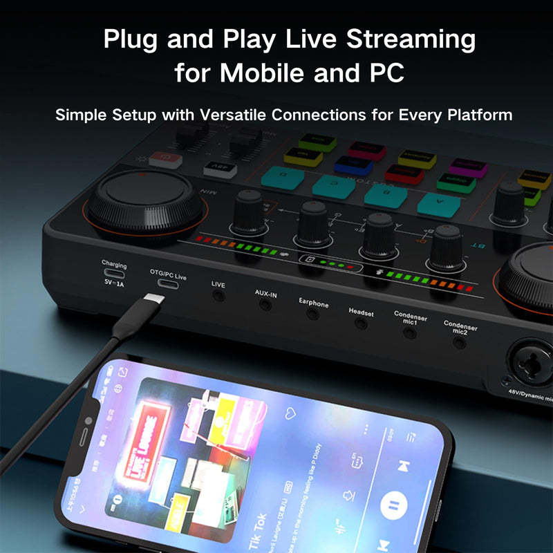 HOSONGIN Audio Interface for Beginners - Streaming Podcast Mixer with Pro-preamp, 48V Phantom Power, Voice Changer, Customizable Sound Effects, Noise Reduction for Podcasting, Gaming, Recording Sound-Card-P300