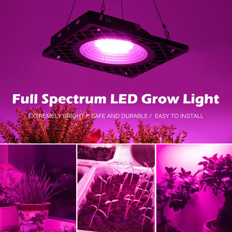 Plant Lamp LED Full Spectrum 72 LEDs 50 W Plant Light Hanging Grow Lamp IP66 100 LM/W