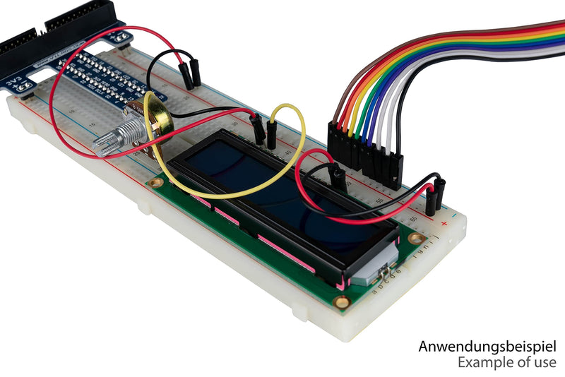 kabelmeister - Jumper Wire/Wire Jumper Cable - Male to Female - 20 cm - 40 Pin Separable Cores for Arduino, Raspberry Pi, Banana Pi, Breadboad, Breadboard etc. Single - 1 x 40 wires
